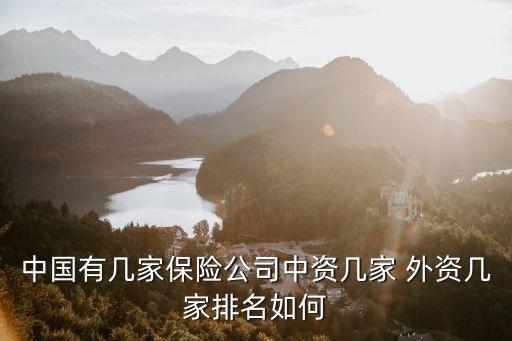 中國(guó)有幾家保險(xiǎn)公司中資幾家 外資幾家排名如何