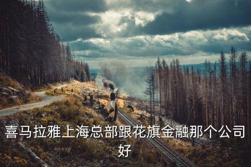 喜馬拉雅上?？偛扛ㄆ旖鹑谀莻€(gè)公司好