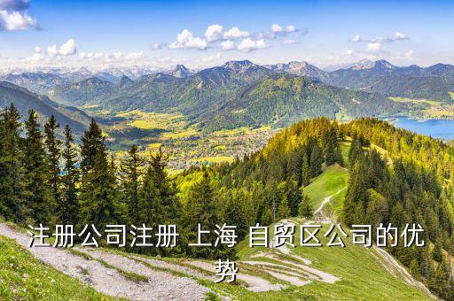 上海自貿區(qū)物流園區(qū),上海洋山深水港物流園區(qū)
