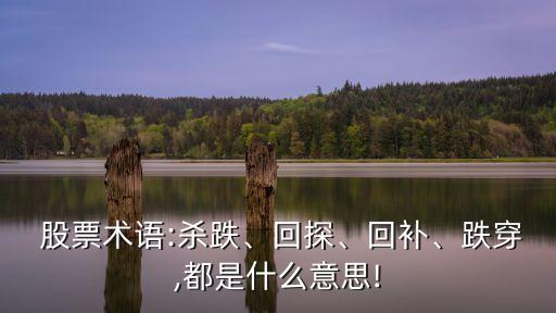  股票術(shù)語:殺跌、回探、回補、跌穿,都是什么意思!