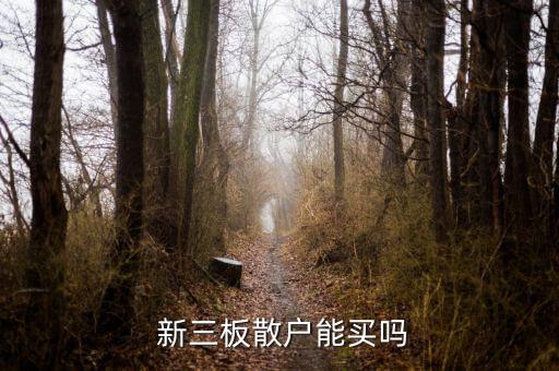  新三板散戶能買(mǎi)嗎