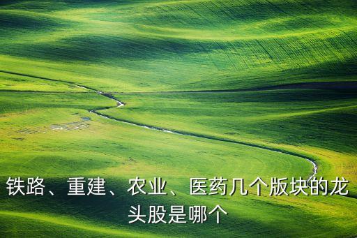 鐵路、重建、農(nóng)業(yè)、醫(yī)藥幾個(gè)版塊的龍頭股是哪個(gè)