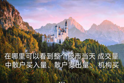 在哪里可以看到整個(gè)股市當(dāng)天 成交量中散戶買入量、散戶賣出量、 機(jī)構(gòu)買...