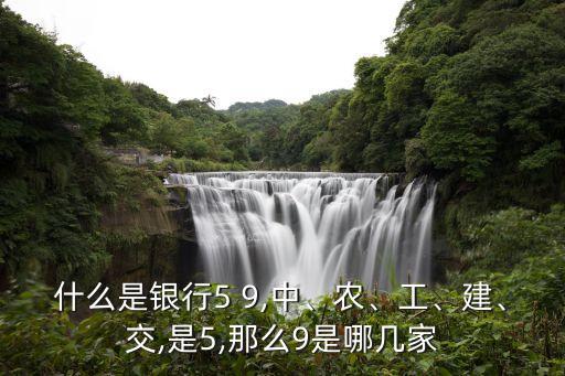 什么是銀行5 9,中、農(nóng)、工、建、交,是5,那么9是哪幾家