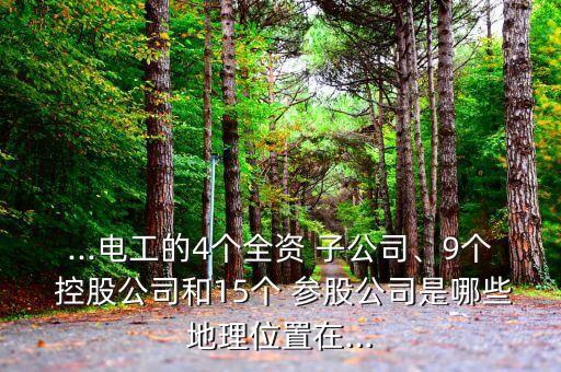...電工的4個全資 子公司、9個 控股公司和15個 參股公司是哪些地理位置在...