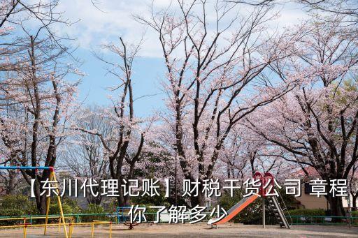 股東章程關于投資返本及分紅決議