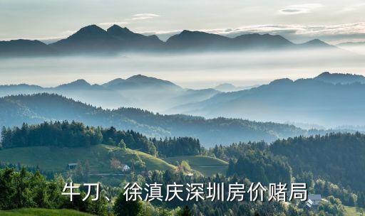  牛刀、徐滇慶深圳房價賭局