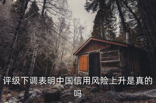 評(píng)級(jí)下調(diào)表明中國信用風(fēng)險(xiǎn)上升是真的嗎