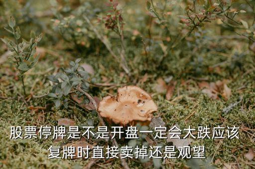 股票停牌是不是開(kāi)盤一定會(huì)大跌應(yīng)該 復(fù)牌時(shí)直接賣掉還是觀望