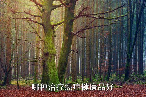 上海大眾抗癌,上?？拱﹨f(xié)會(huì)會(huì)長(zhǎng)