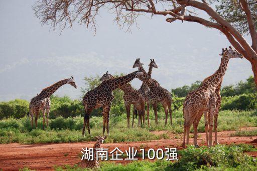  湖南企業(yè)100強