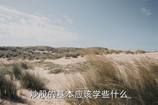 中國股票市場基本知識(shí)及投資策略,股票市場中性投資策略