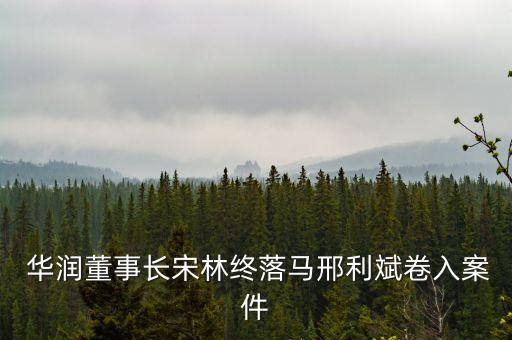  華潤董事長(zhǎng)宋林終落馬邢利斌卷入案件