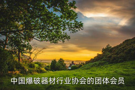 中國爆破器材行業(yè)協(xié)會的團(tuán)體會員