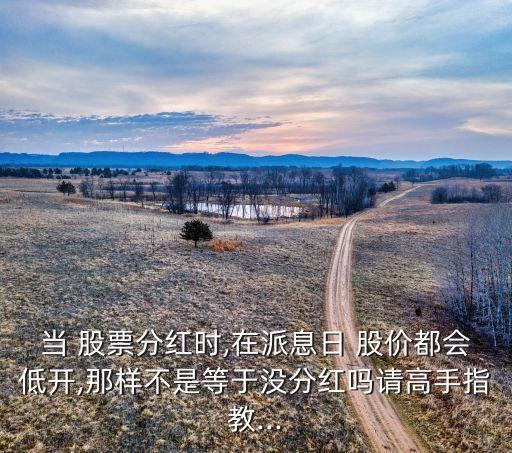當(dāng) 股票分紅時(shí),在派息日 股價(jià)都會(huì)低開(kāi),那樣不是等于沒(méi)分紅嗎請(qǐng)高手指教...