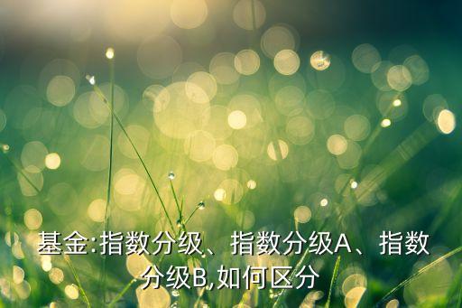  基金:指數(shù)分級、指數(shù)分級A、指數(shù)分級B,如何區(qū)分