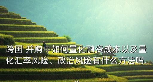 跨國 并購中如何量化融資成本以及量化匯率風險、政治風險有什么方法嗎...