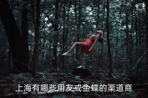 上海通金信息科技開(kāi)發(fā)有限公司