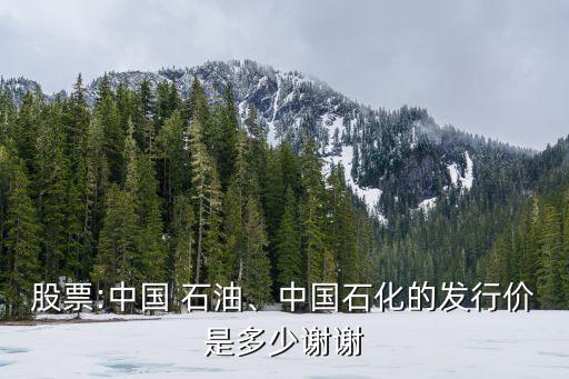 股票:中國 石油、中國石化的發(fā)行價是多少謝謝