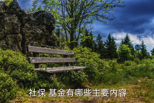 社?；鹜顿Y運(yùn)營(yíng)的原則,美國(guó)社?；鹜顿Y運(yùn)營(yíng)現(xiàn)狀