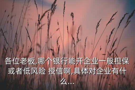 各位老板,哪個(gè)銀行能開企業(yè)一般擔(dān)?；蛘叩惋L(fēng)險(xiǎn) 授信啊,具體對企業(yè)有什么...