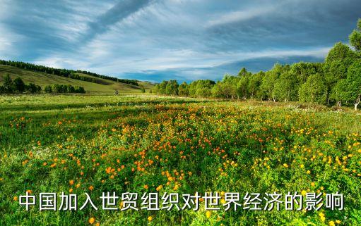 中國加入世貿(mào)組織對世界經(jīng)濟的影響