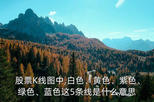  股票K線圖中,白色、黃色、紫色、綠色、藍色這5條線是什么意思