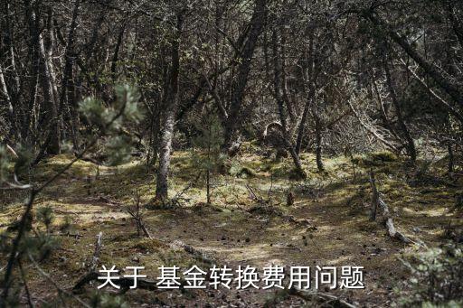 關(guān)于 基金轉(zhuǎn)換費用問題