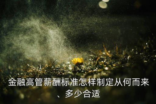  金融高管薪酬標準怎樣制定從何而來、多少合適