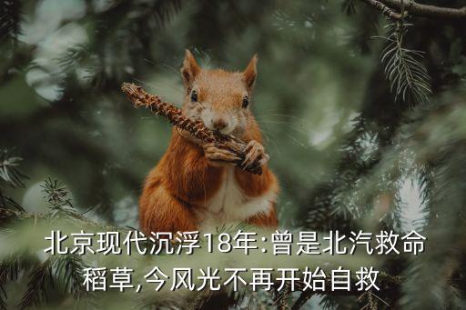 北京奔馳李宏鵬,奔馳李宏鵬個(gè)人簡(jiǎn)歷