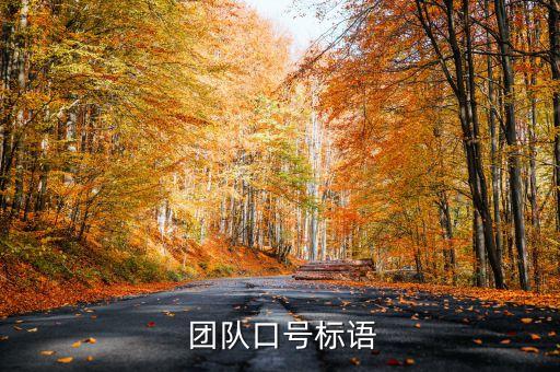 公司團(tuán)隊(duì)公約,團(tuán)隊(duì)公約范本