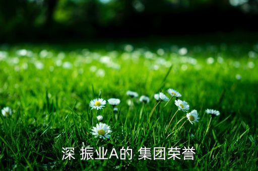 深 振業(yè)A的 集團榮譽