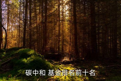 有關(guān)環(huán)保的基金,環(huán)?；鹎笆琶?/></a></span><span id=