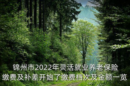  錦州市2022年靈活就業(yè)養(yǎng)老保險(xiǎn)繳費(fèi)及補(bǔ)差開(kāi)始了繳費(fèi)檔次及金額一覽