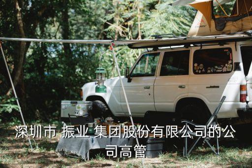 深圳市 振業(yè) 集團股份有限公司的公司高管