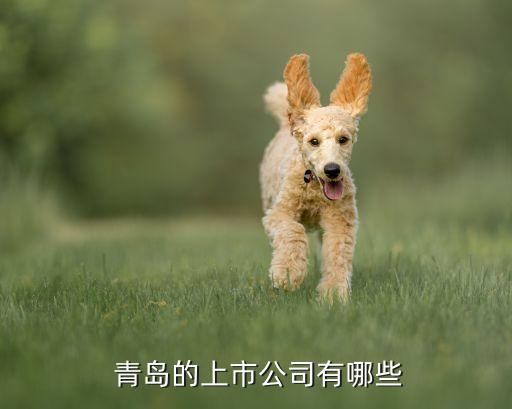 青島天能重工集團(tuán)簡介,青島雷沃重工集團(tuán)累不累