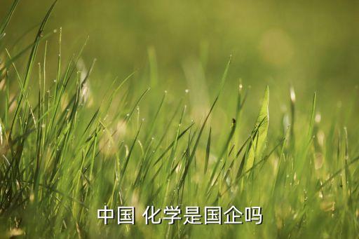 中國化學(xué)工程集團總資產(chǎn)