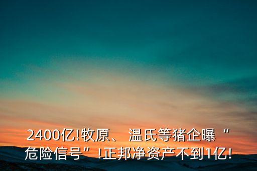 2400億!牧原、 溫氏等豬企曝“危險(xiǎn)信號”!正邦凈資產(chǎn)不到1億!