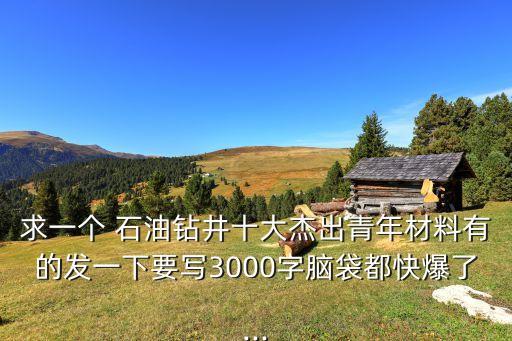 求一個(gè) 石油鉆井十大杰出青年材料有的發(fā)一下要寫(xiě)3000字腦袋都快爆了...