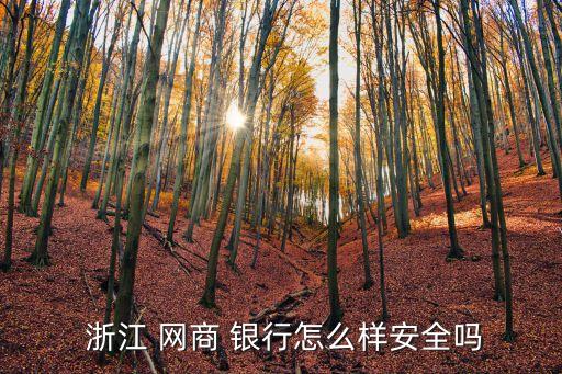浙江網商銀行馬云電話