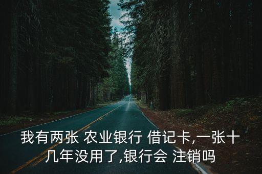 我有兩張 農(nóng)業(yè)銀行 借記卡,一張十幾年沒(méi)用了,銀行會(huì) 注銷(xiāo)嗎