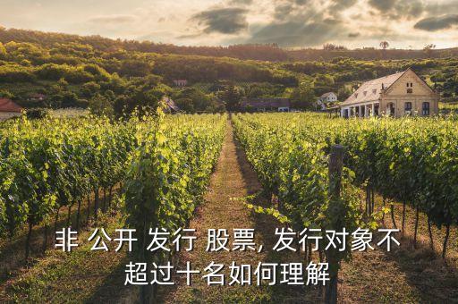 上市公司非公開(kāi)發(fā)行股票管理辦法