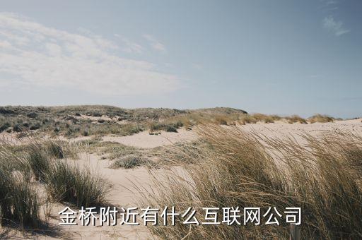 金橋附近有什么互聯網公司