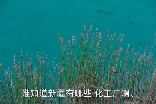 誰知道新疆有哪些 化工廠啊、