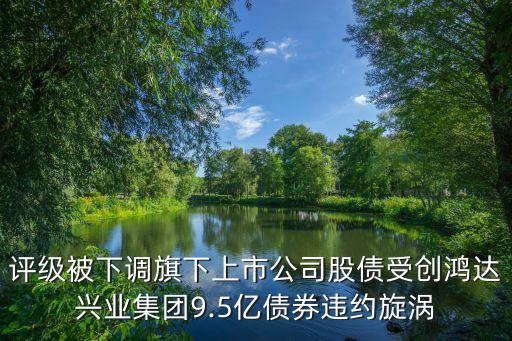 評級(jí)被下調(diào)旗下上市公司股債受創(chuàng)鴻達(dá)興業(yè)集團(tuán)9.5億債券違約旋渦
