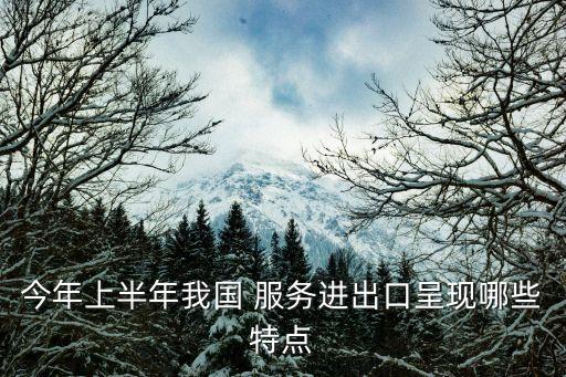 今年上半年我國 服務進出口呈現哪些特點