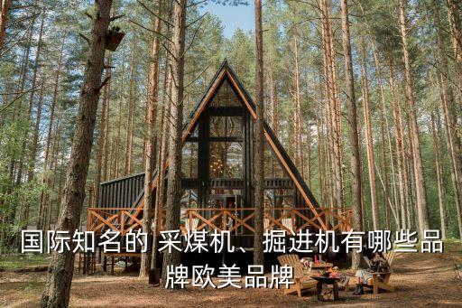 國際知名的 采煤機(jī)、掘進(jìn)機(jī)有哪些品牌歐美品牌
