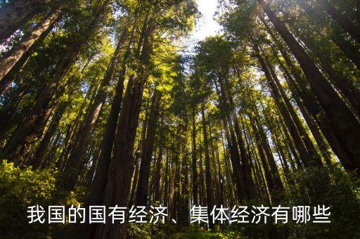 我國(guó)的國(guó)有經(jīng)濟(jì)、集體經(jīng)濟(jì)有哪些