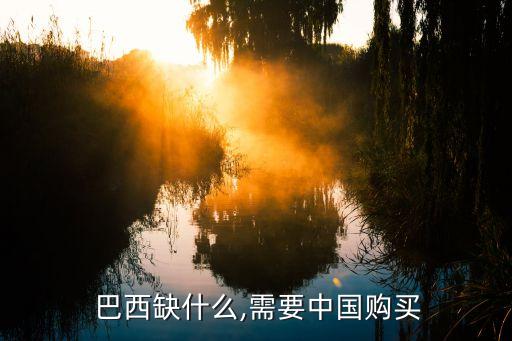  巴西缺什么,需要中國(guó)購(gòu)買