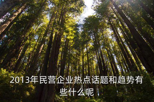 2013年民營(yíng)企業(yè)熱點(diǎn)話(huà)題和趨勢(shì)有些什么呢